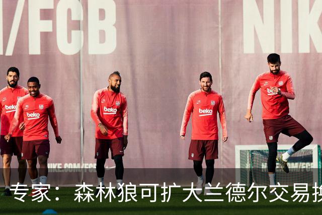 专家：森林狼可扩大兰德尔交易换三球 但需要加入迪文岑佐配平