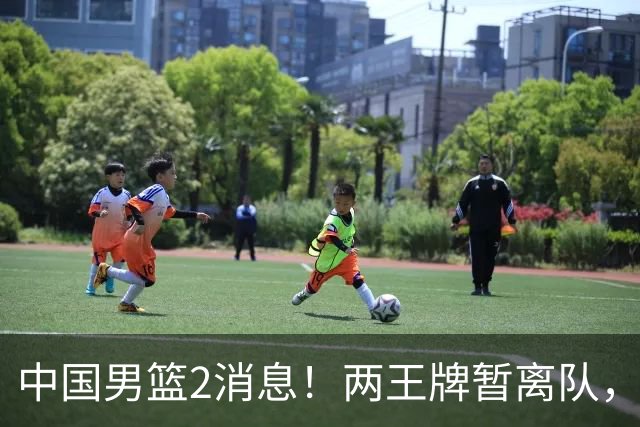 中国男篮2消息！两王牌暂离队，杨瀚森确定为国出征，郭士强最新发声
