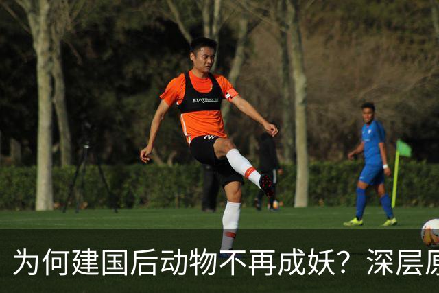 为何建国后动物不再成妖？深层原因值得探究