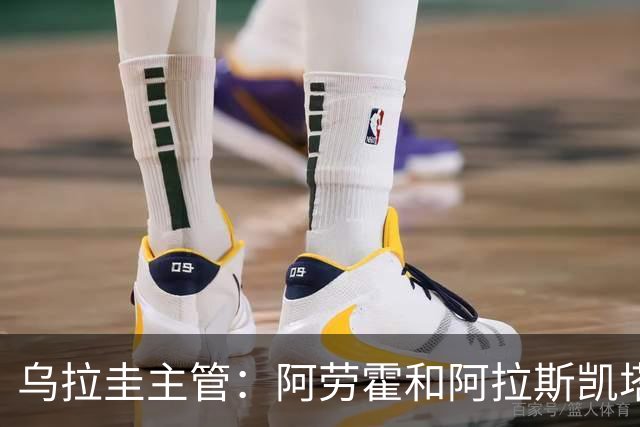 乌拉圭主管：阿劳霍和阿拉斯凯塔好转 吉梅内斯有望赶上首战