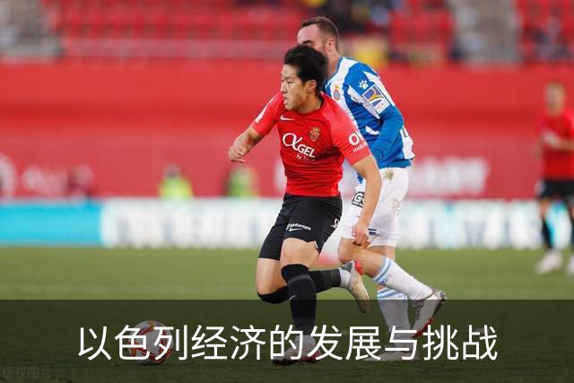 以色列经济的发展与挑战
