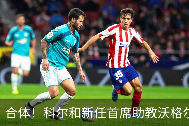合体！科尔和新任首席助教沃格尔观战勇士vs灰熊夏联 邓利维作陪