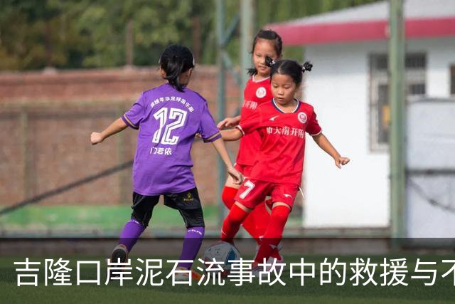 吉隆口岸泥石流事故中的救援与不舍