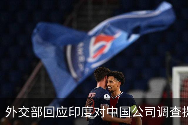 外交部回应印度对中国公司调查提议