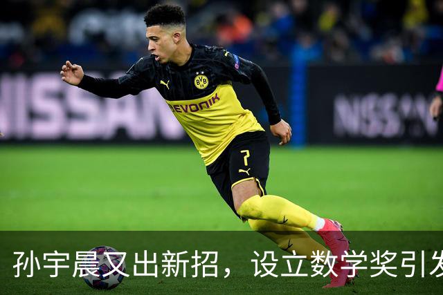 孙宇晨又出新招，设立数学奖引发热议