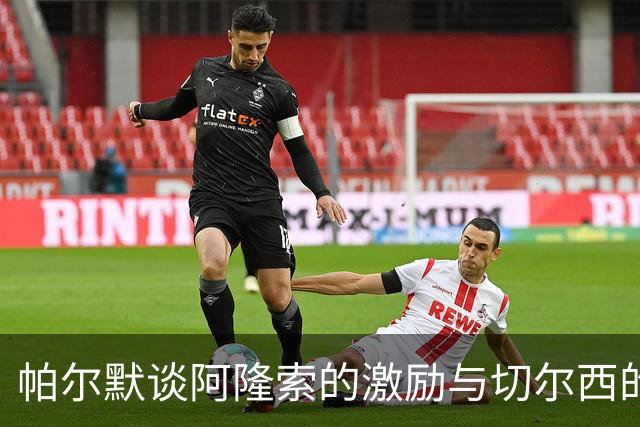 帕尔默谈阿隆索的激励与切尔西的比赛体验