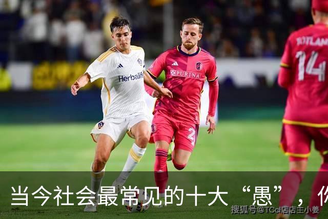 当今社会最常见的十大“愚”，你中了多少？