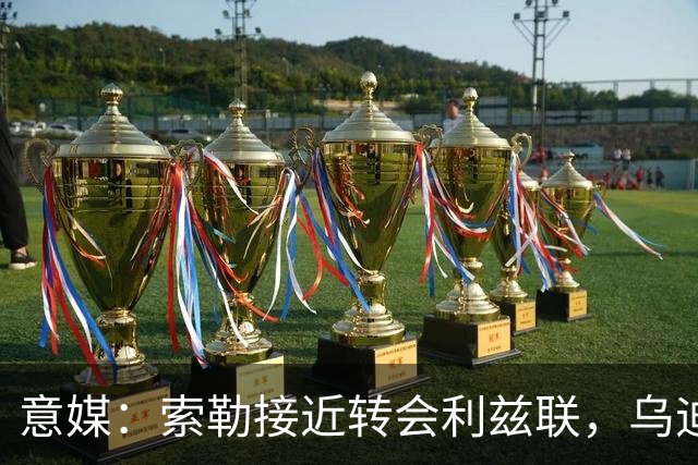 意媒：索勒接近转会利兹联，乌迪内斯有意米兰后卫F·泰拉恰诺