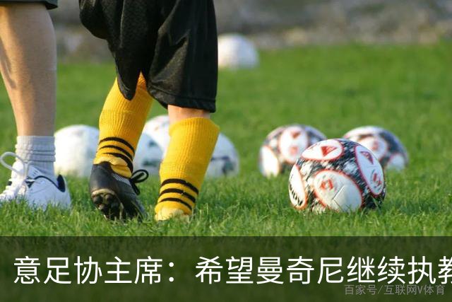 意足协主席：希望曼奇尼继续执教 没想到会这样