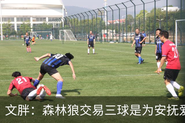 文胖：森林狼交易三球是为安抚爱德华兹 他一赛季被包夹近1000次