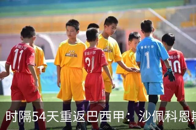 时隔54天重返巴西甲：沙佩科恩斯迎战弗拉门戈