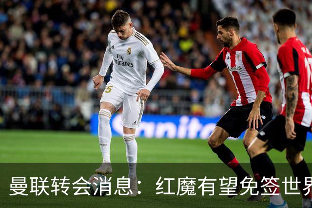 曼联转会消息：红魔有望免签世界杯国门，青训双星或投英超升班马