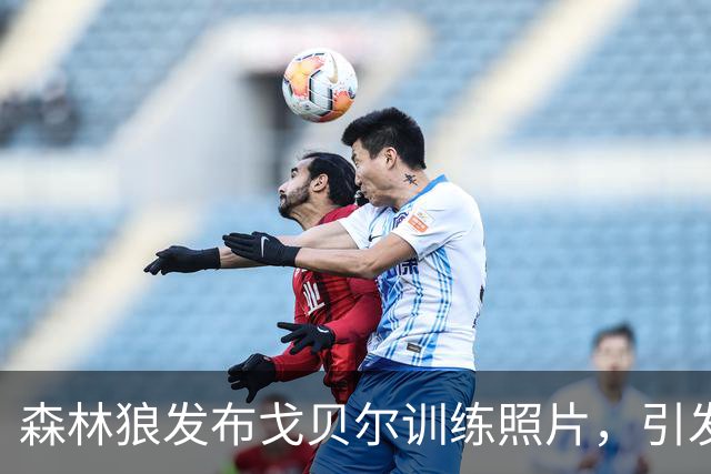 森林狼发布戈贝尔训练照片，引发球迷热议