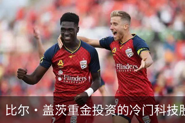 比尔·盖茨重金投资的冷门科技股，378天未动，北向资金加仓