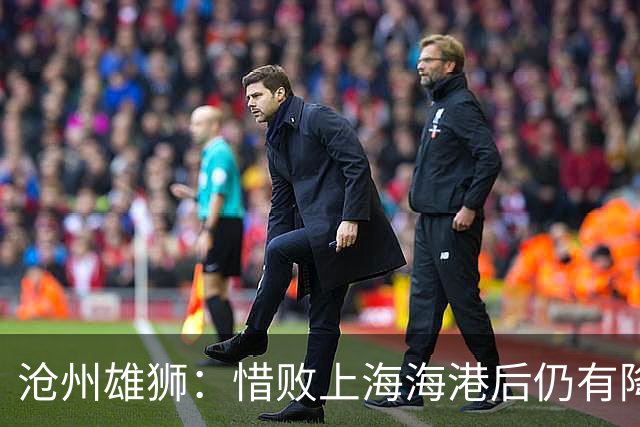 沧州雄狮：惜败上海海港后仍有降级风险