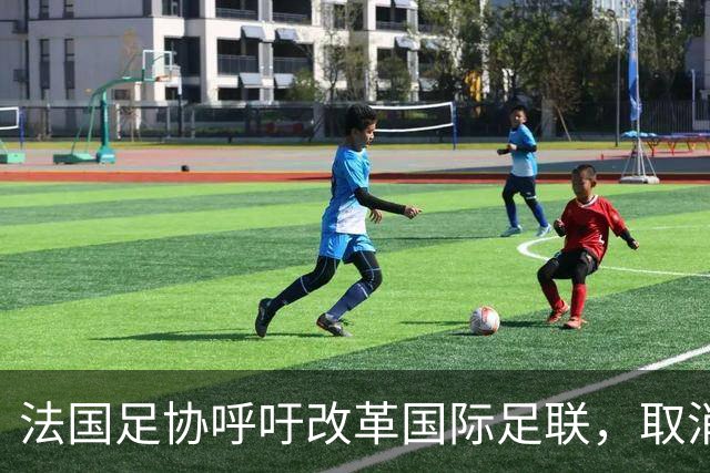 法国足协呼吁改革国际足联，取消对因凡蒂诺的支持