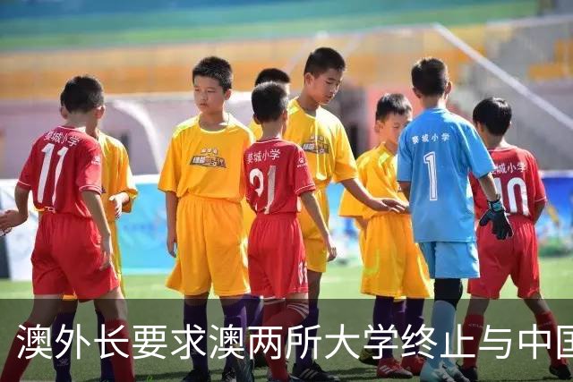 澳外长要求澳两所大学终止与中国高校合作协议，外交部：反对泛化国家安全概念