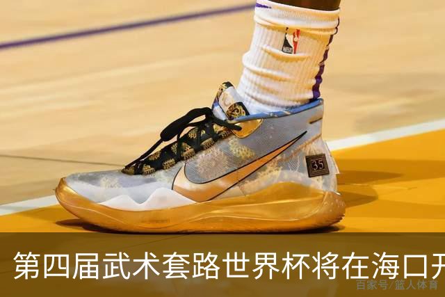 第四届武术套路世界杯将在海口开赛 30多个国家和地区人员参赛