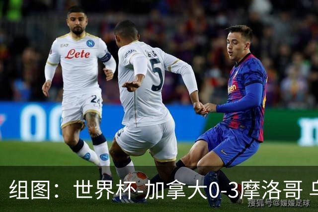 组图：世界杯-加拿大0-3摩洛哥 乌纳希2球