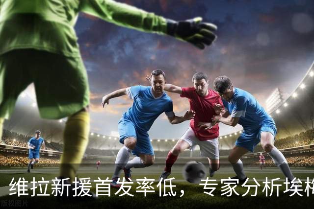 维拉新援首发率低，专家分析埃梅里的用人策略