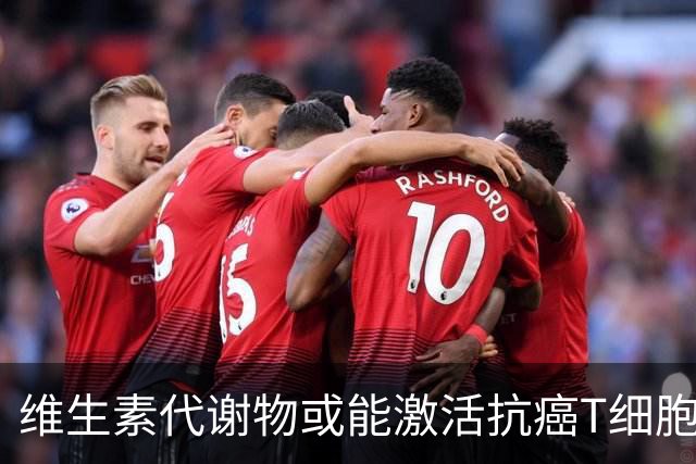 维生素代谢物或能激活抗癌T细胞，增强治疗效果