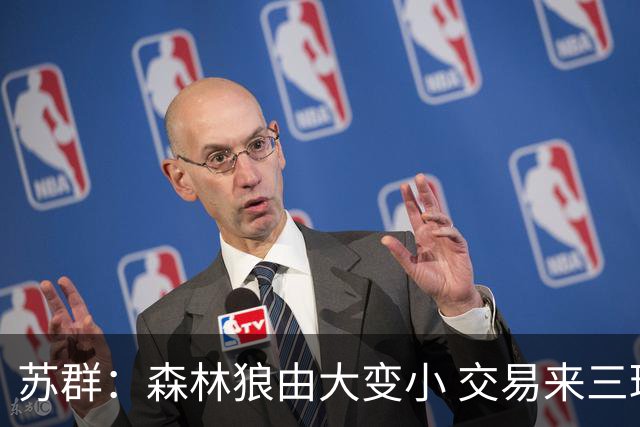 苏群：森林狼由大变小 交易来三球付出的代价可是够大的