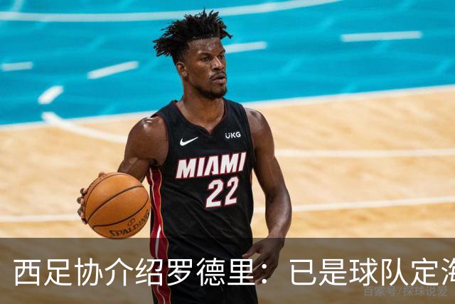 西足协介绍罗德里：已是球队定海神针，带领年轻球员向世界杯冲击