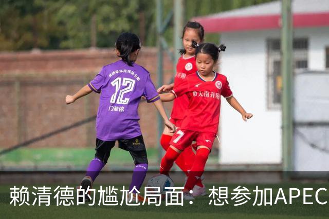 赖清德的尴尬局面：想参加APEC需承认中国身份