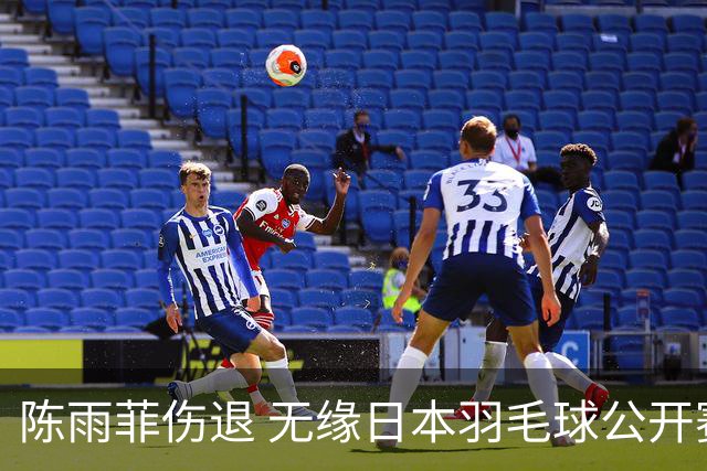 陈雨菲伤退 无缘日本羽毛球公开赛女单决赛