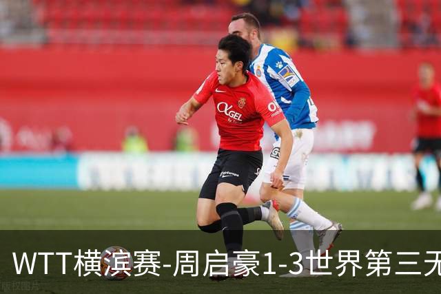 WTT横滨赛-周启豪1-3世界第三无缘16强 温瑞博1-3止步首轮